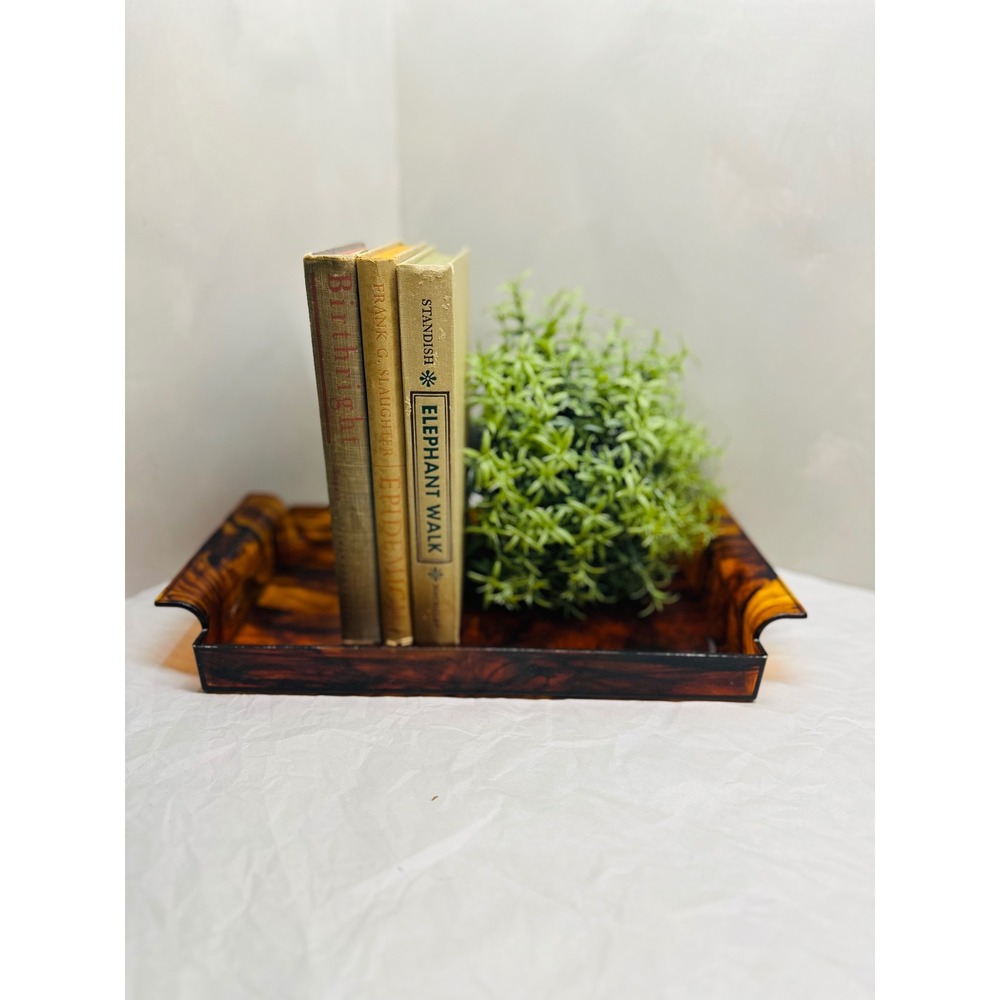 Vintage Faux Tortoiseshell Acrylic Tray Amber Brown Marbled Vanity Desk Decor